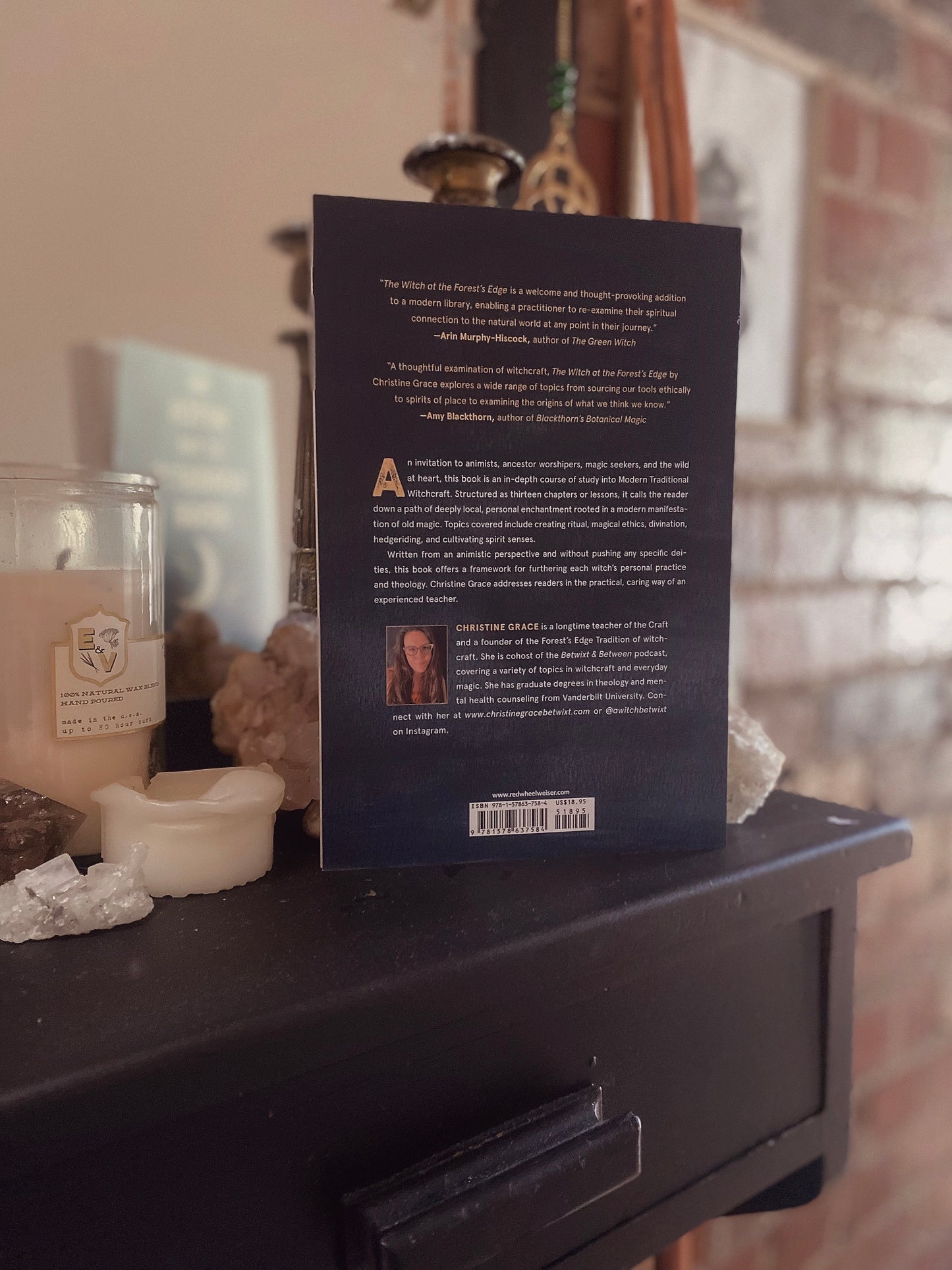 The Witch At The Forests Edge