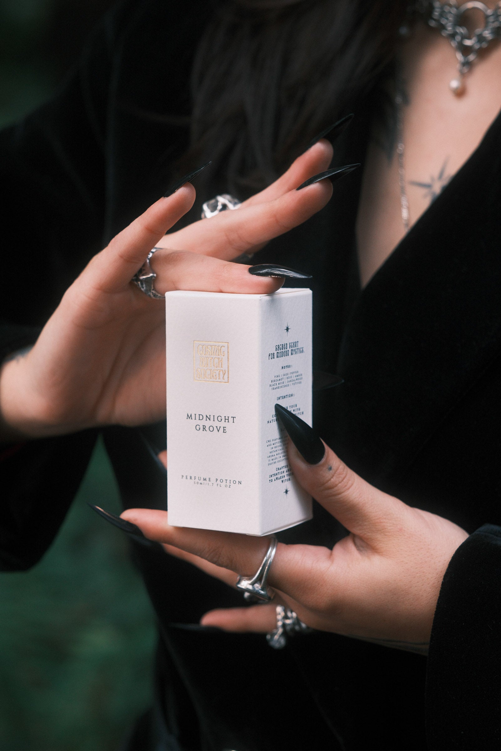 Midnight Grove | Parfum Potion