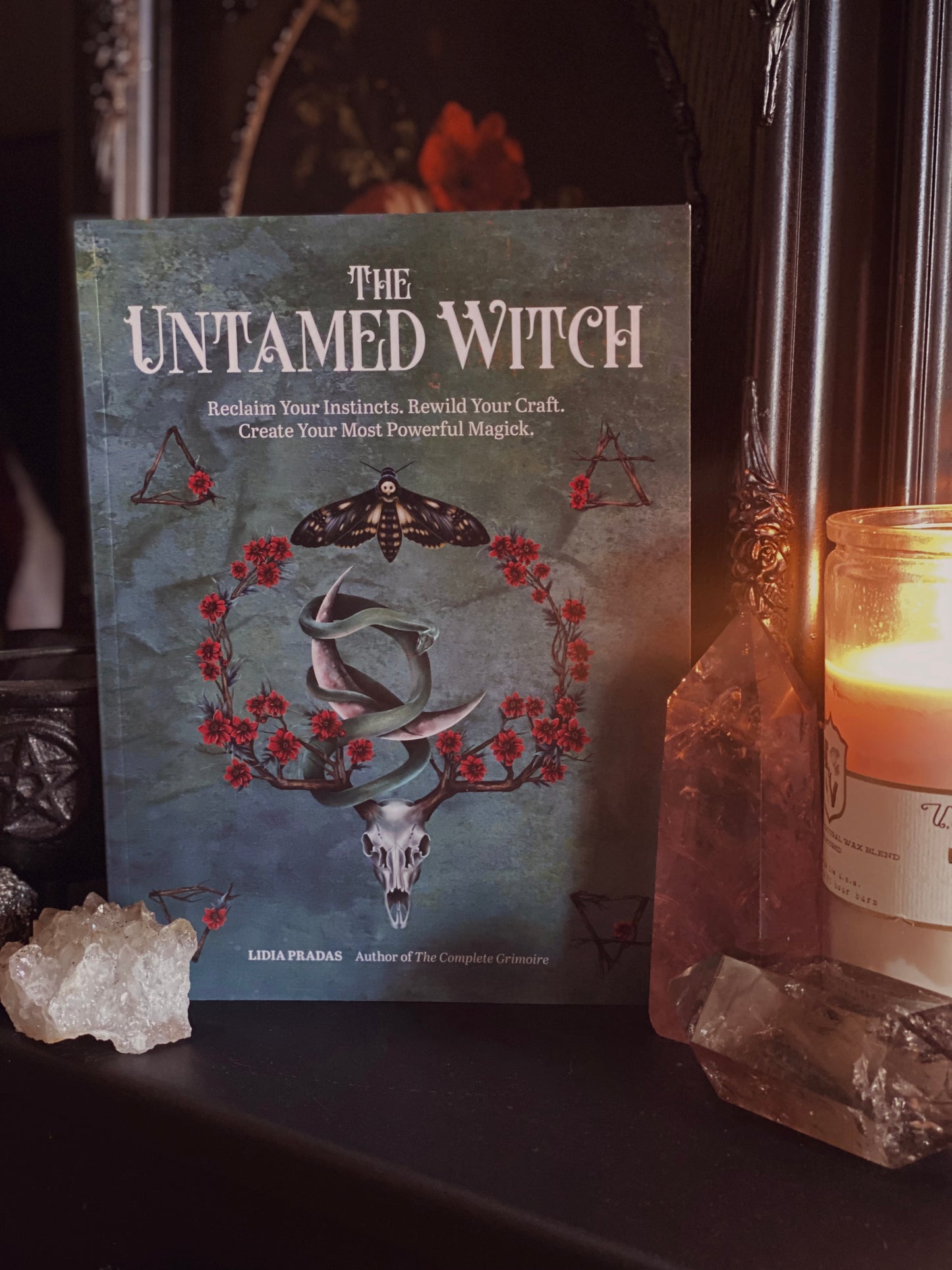 The Untamed Witch