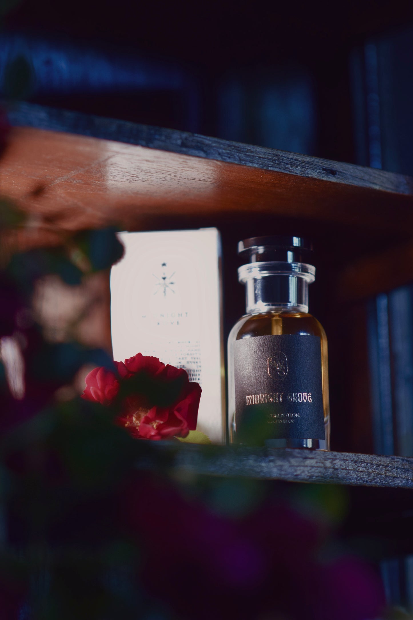 Midnight Grove | Parfum Potion
