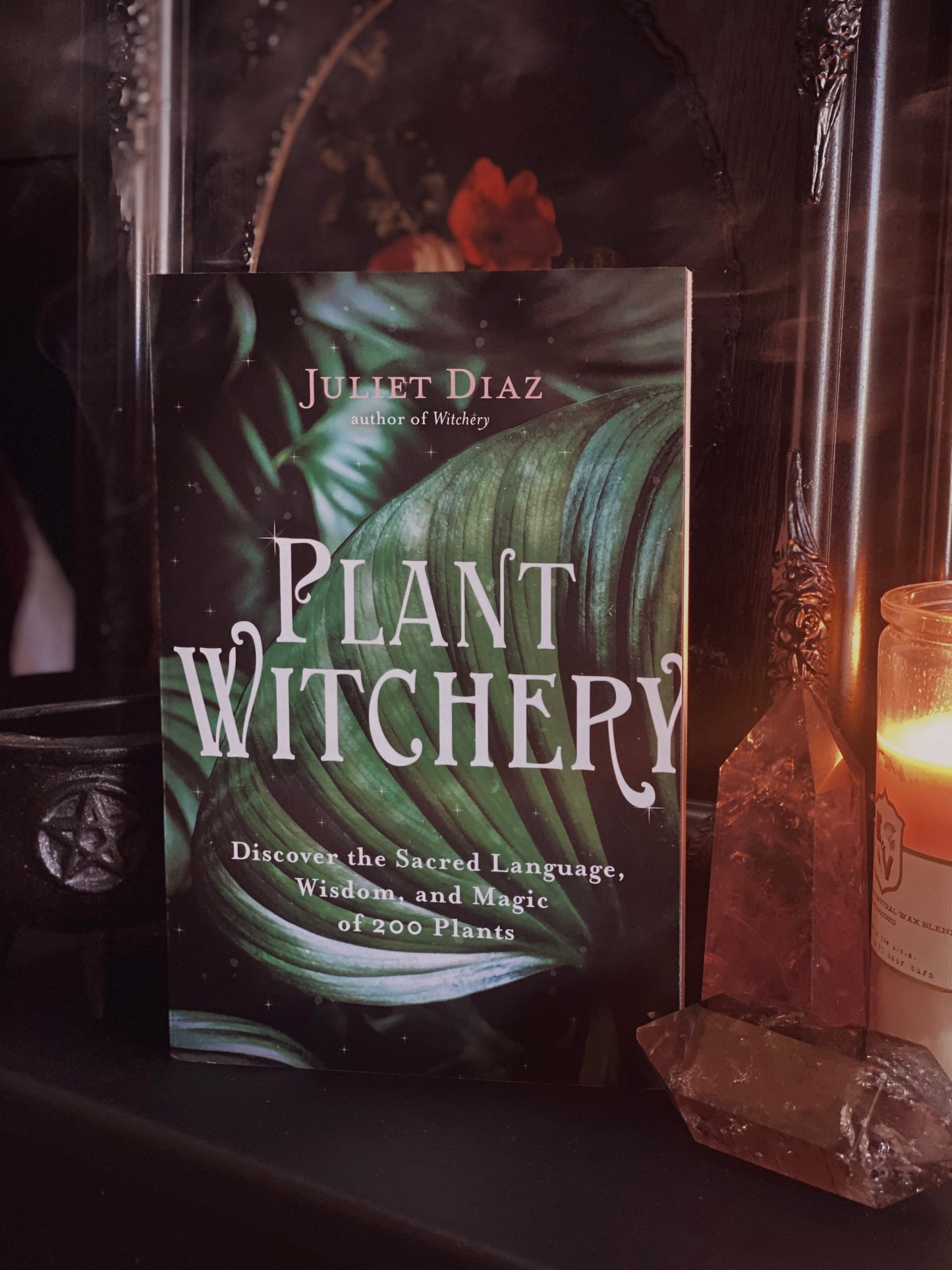 Plant Witchery